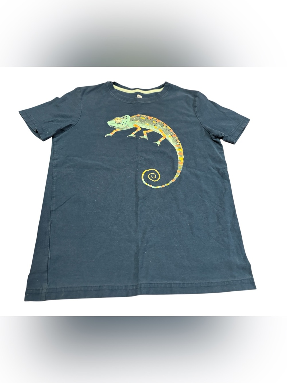 Tea collection blue Chameleon Graphic Reptile Tee, boys size 14